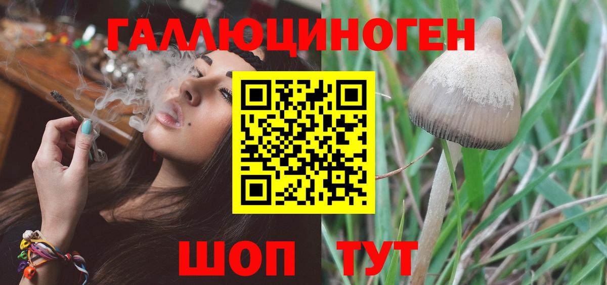 Псилоцибиновые грибы прущие грибы Черногорск