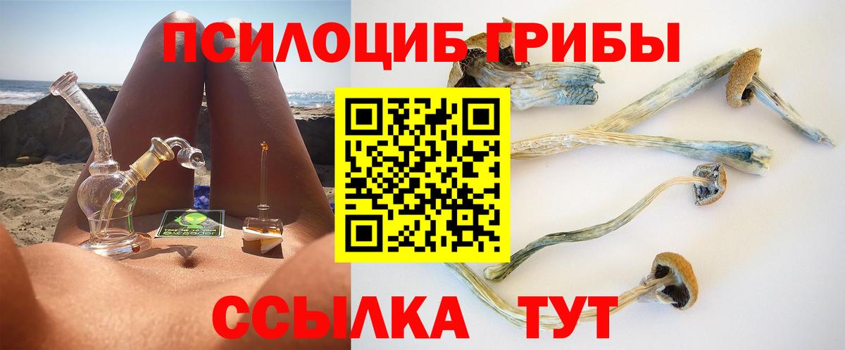 Псилоцибиновые грибы Magic Shrooms  Вход с VPN  Черногорск 